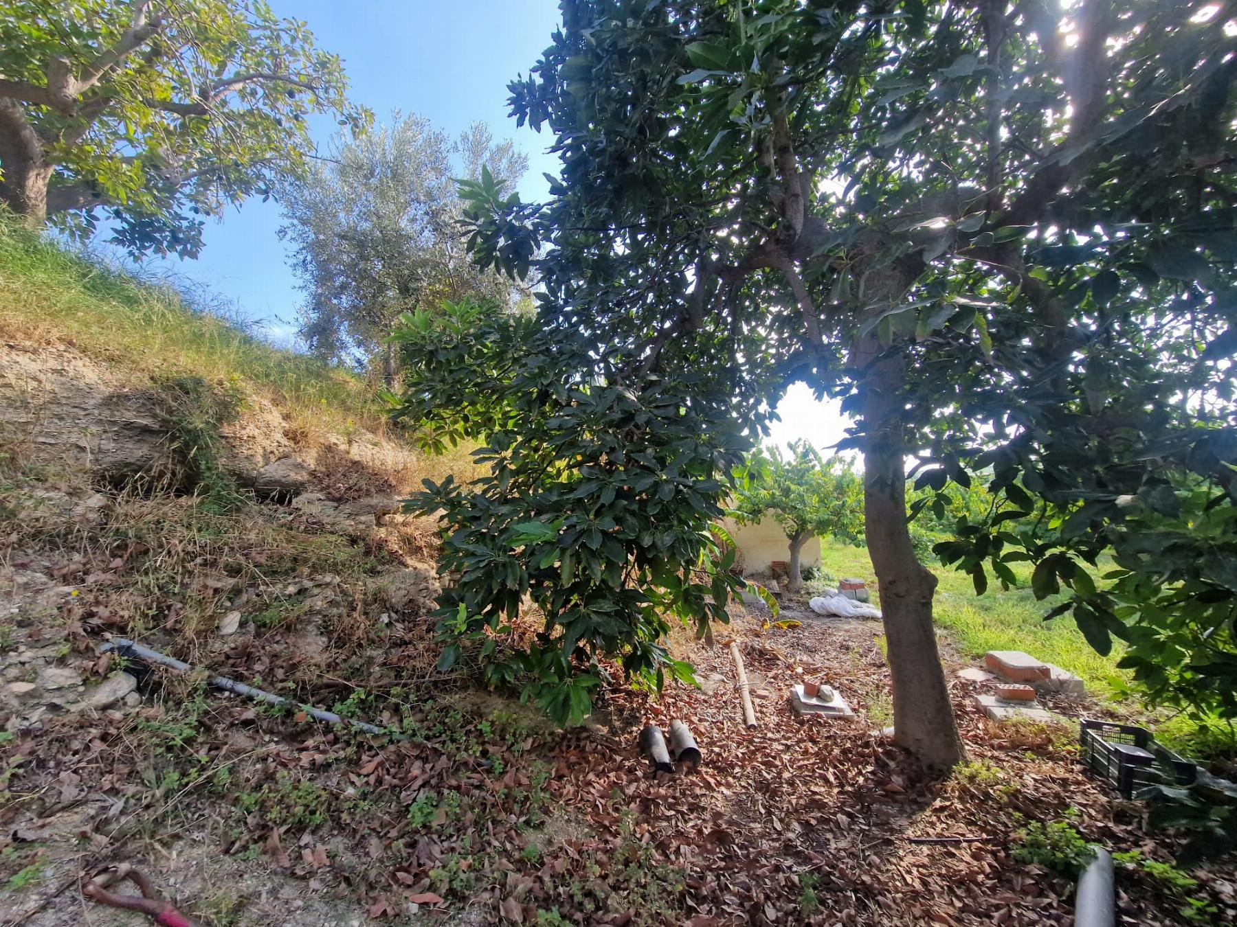 Venta de finca rústica en Salobreña