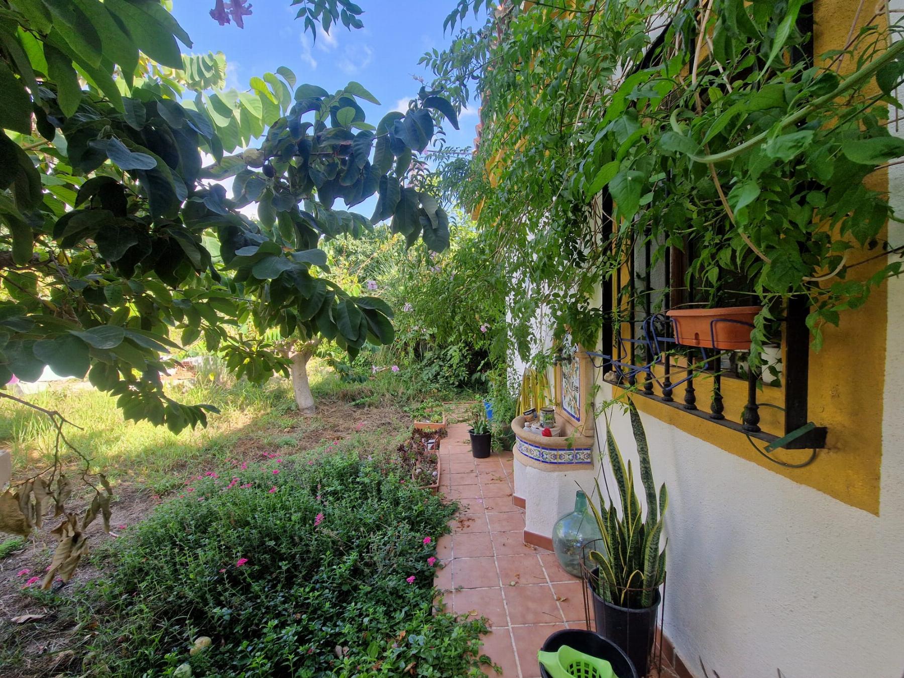 Venta de finca rústica en Salobreña