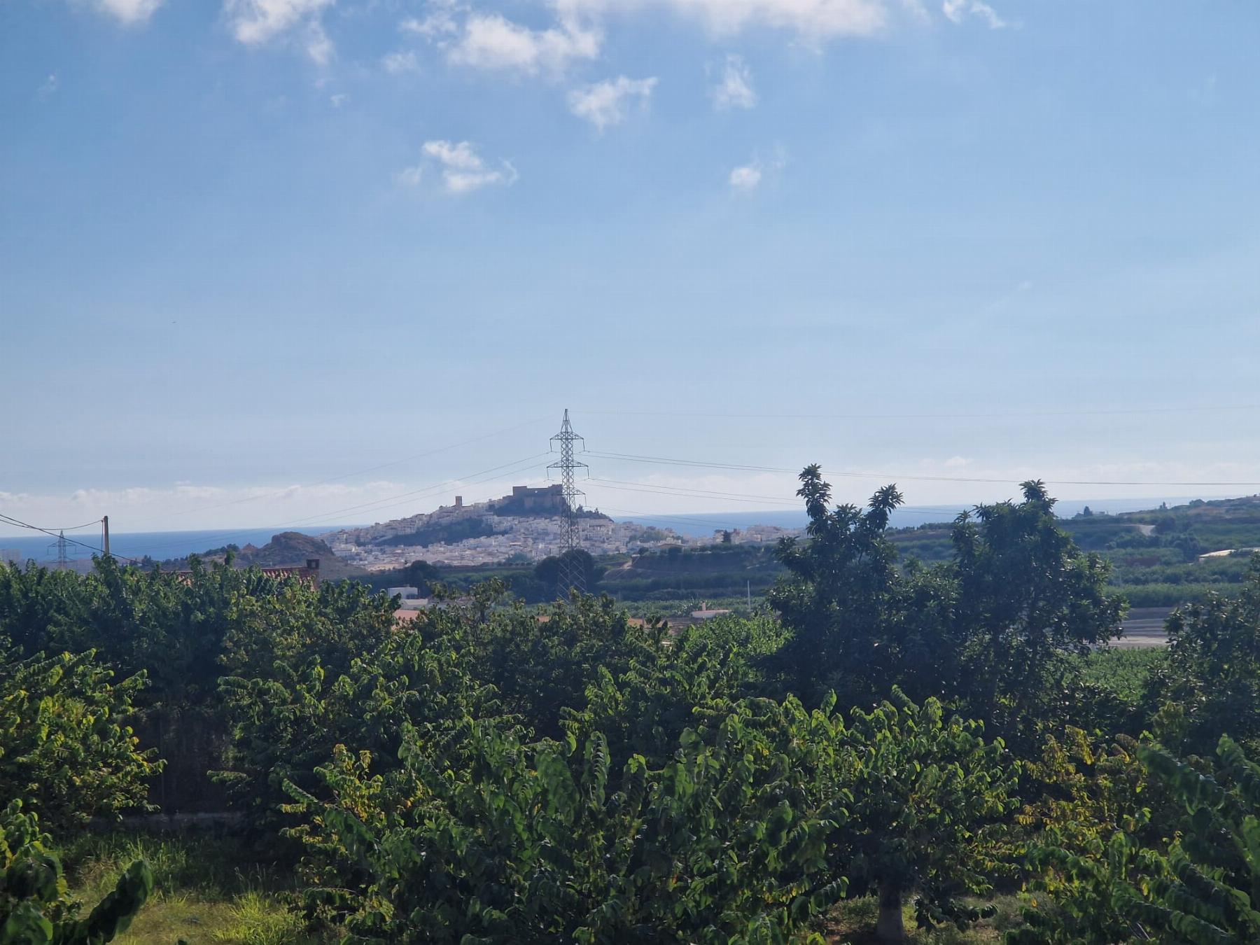 Venta de finca rústica en Salobreña
