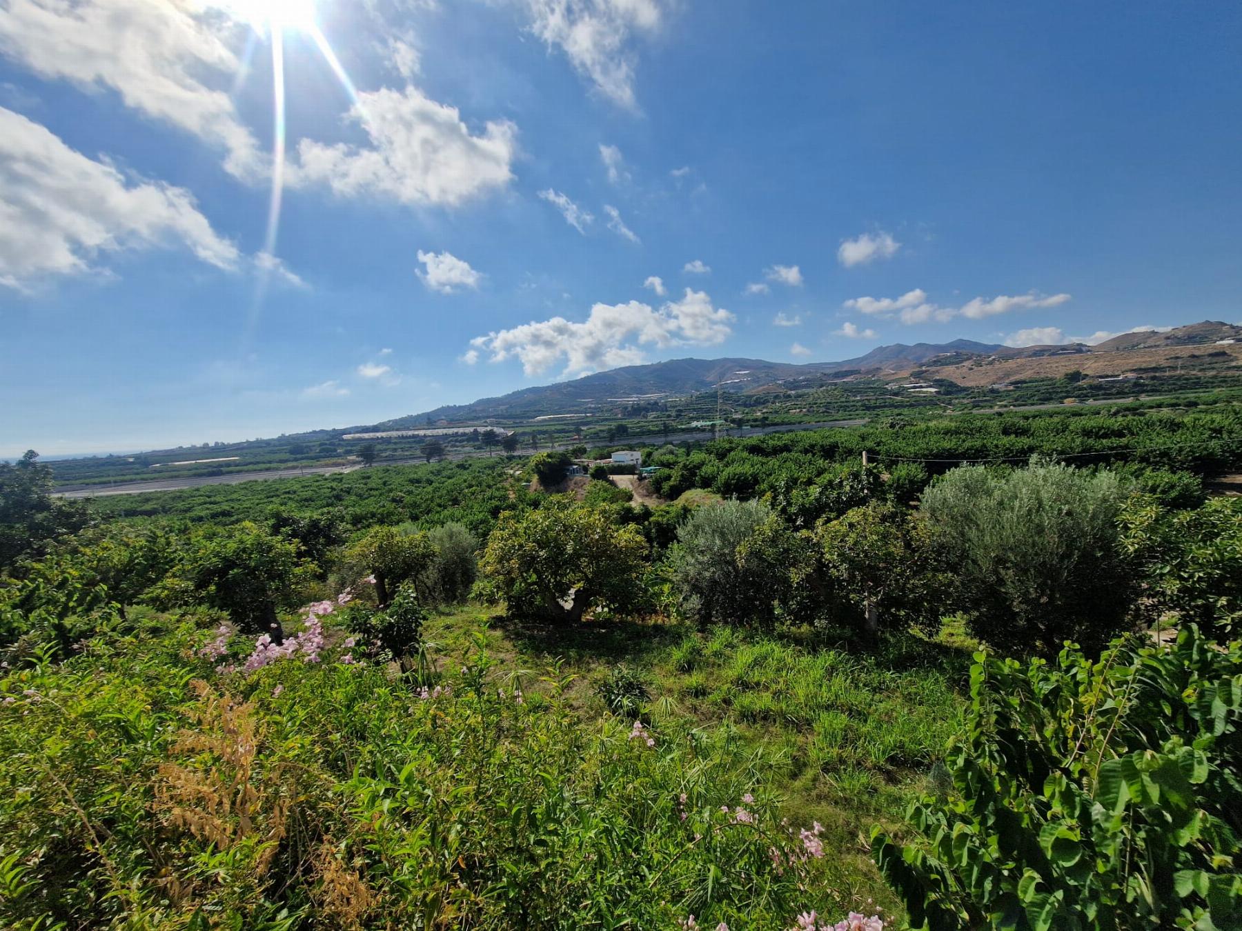 Venta de finca rústica en Salobreña