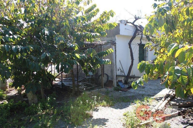 Venta de finca rústica en Motril