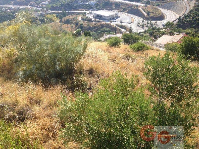 For sale of land in Almuñécar