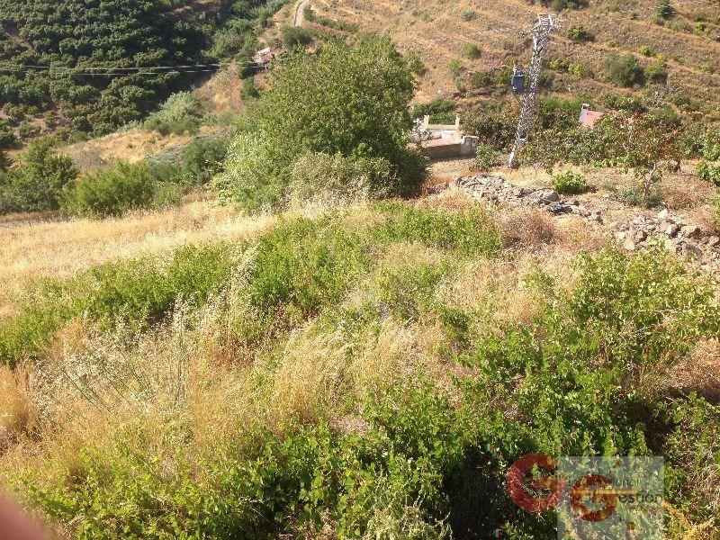 For sale of land in Almuñécar