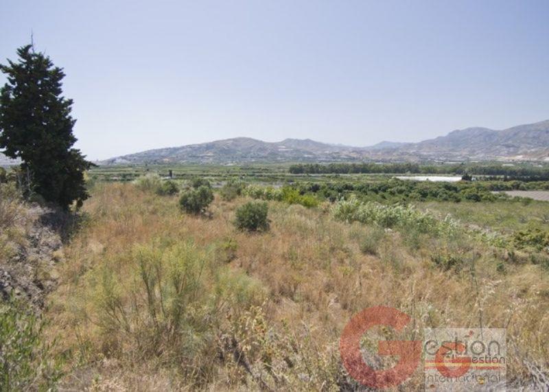 Venta de finca rústica en Motril