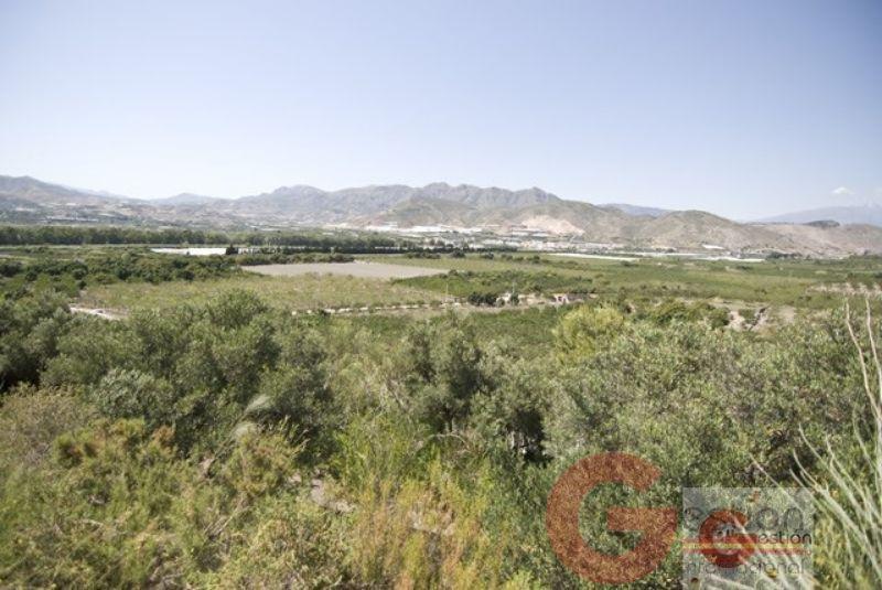 Venta de finca rústica en Motril