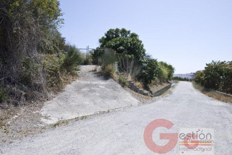 Venta de finca rústica en Motril