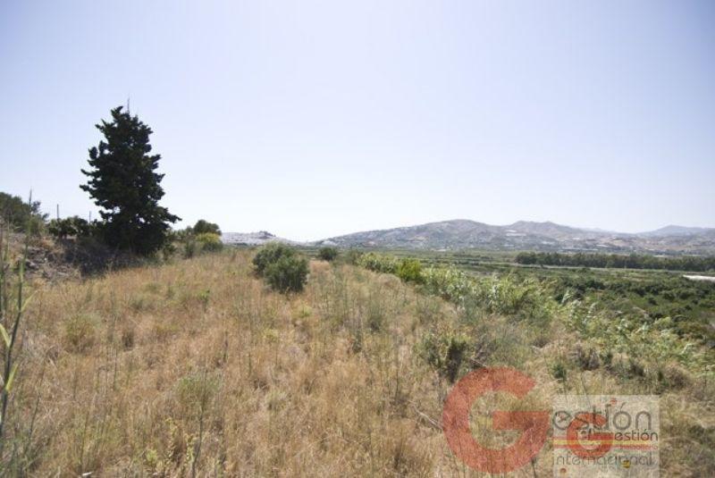 Venta de finca rústica en Motril