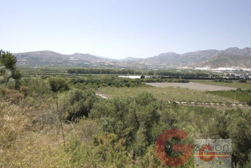 Venta de finca rústica en Motril