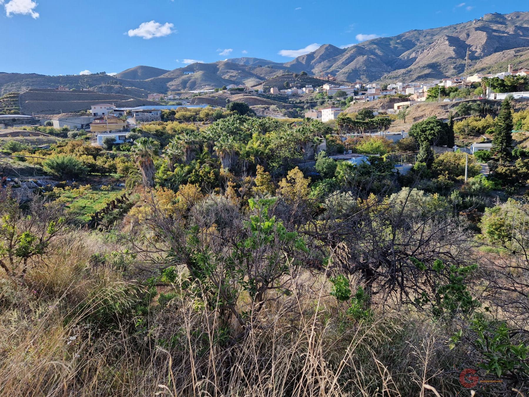 Venta de finca rústica en Molvízar