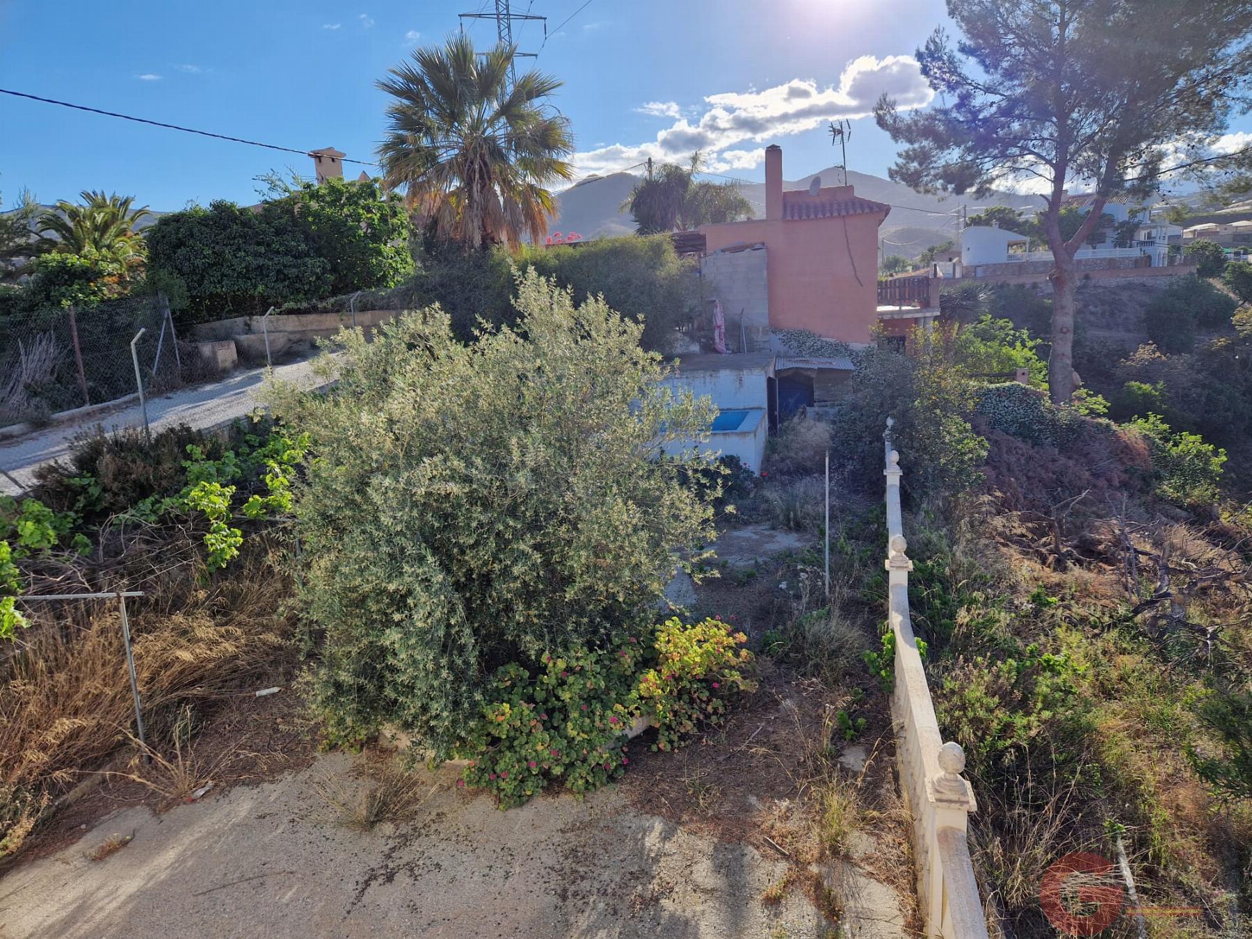 Venta de finca rústica en Molvízar Venta de finca rústica en Molvízar