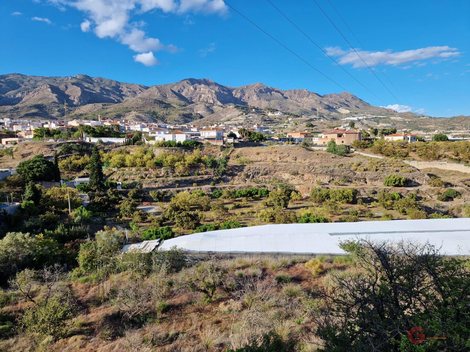 Venta de finca rústica en Molvízar Venta de finca rústica en Molvízar