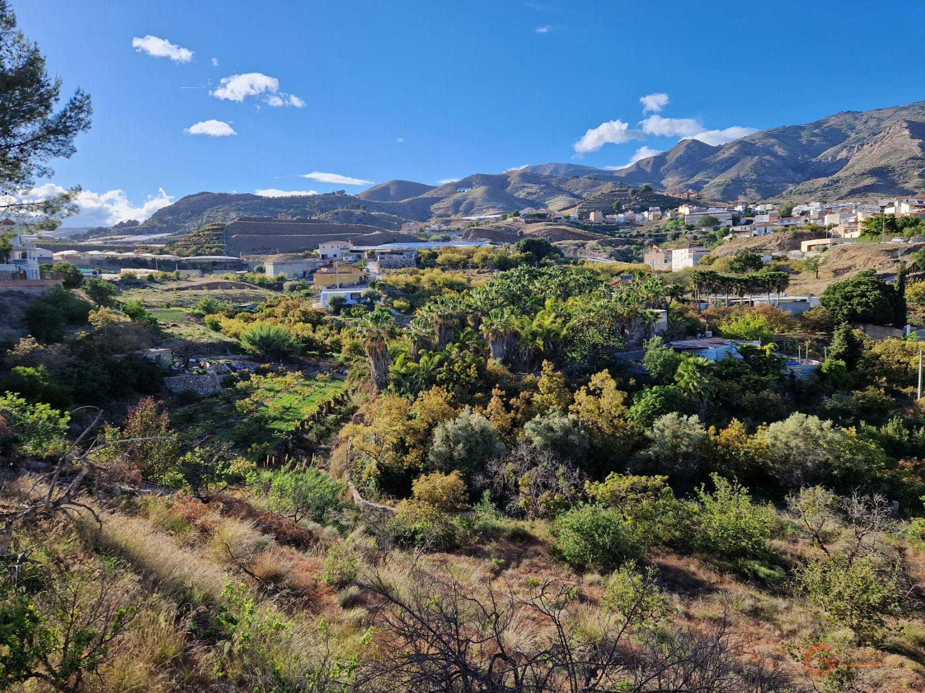 For sale of rural property in Molvízar