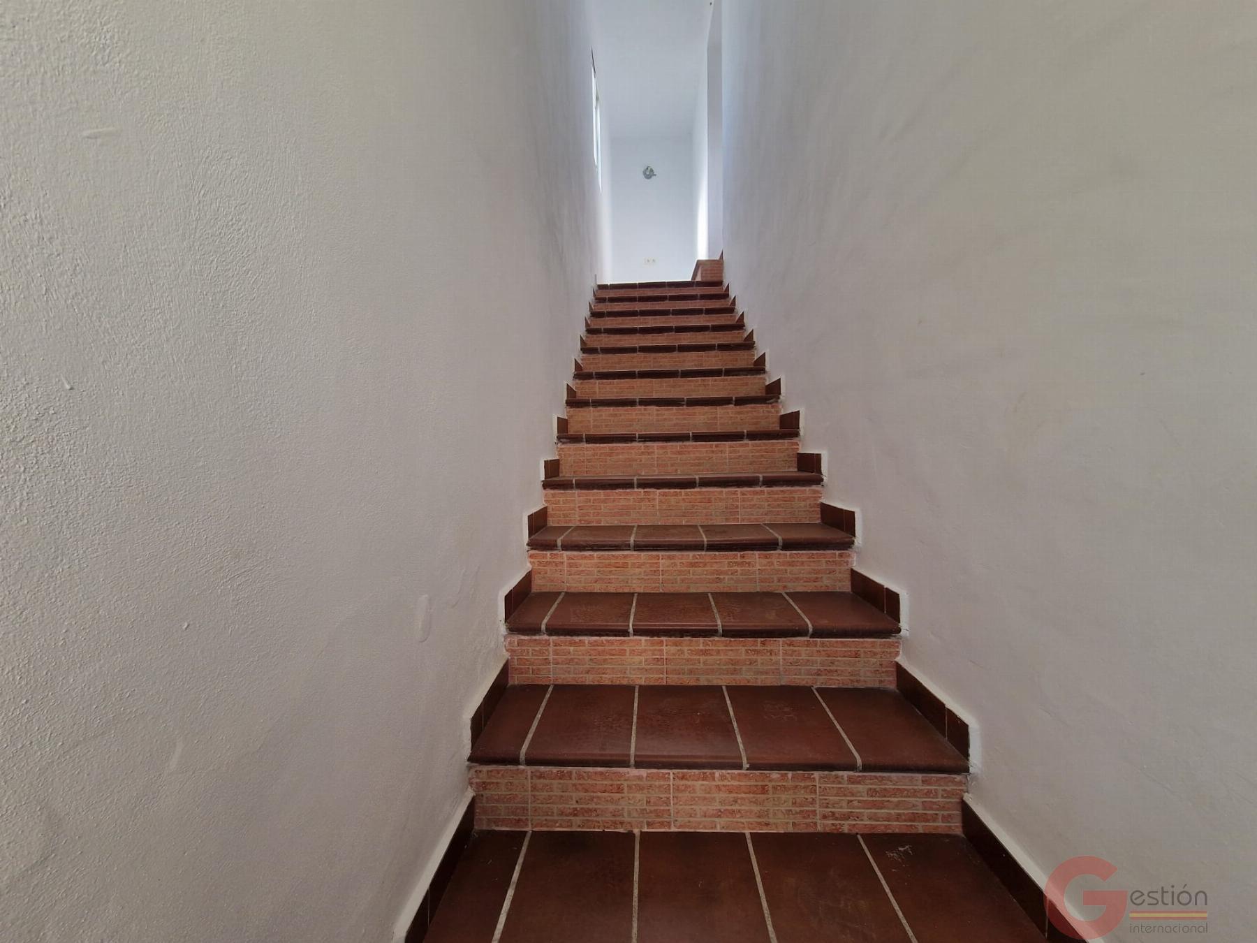 Venta de finca rústica en Molvízar