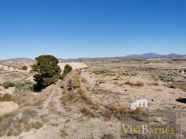 For sale of rural property in Lorca