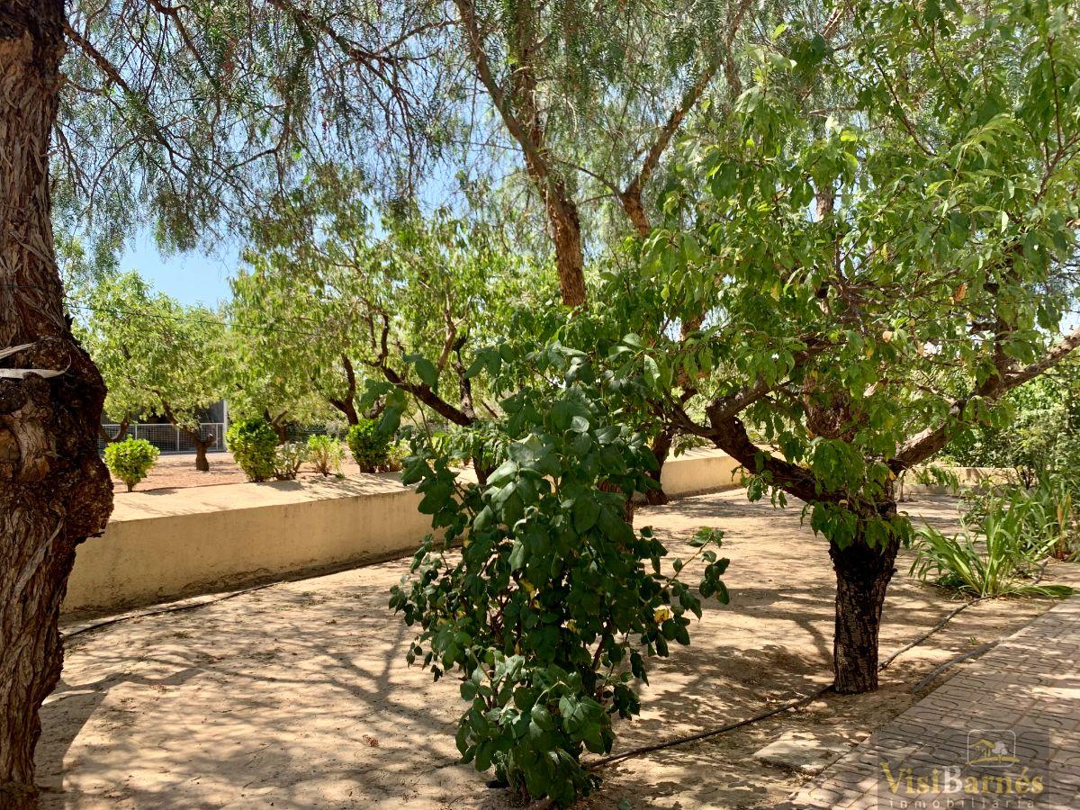 Venta de chalet en Lorca