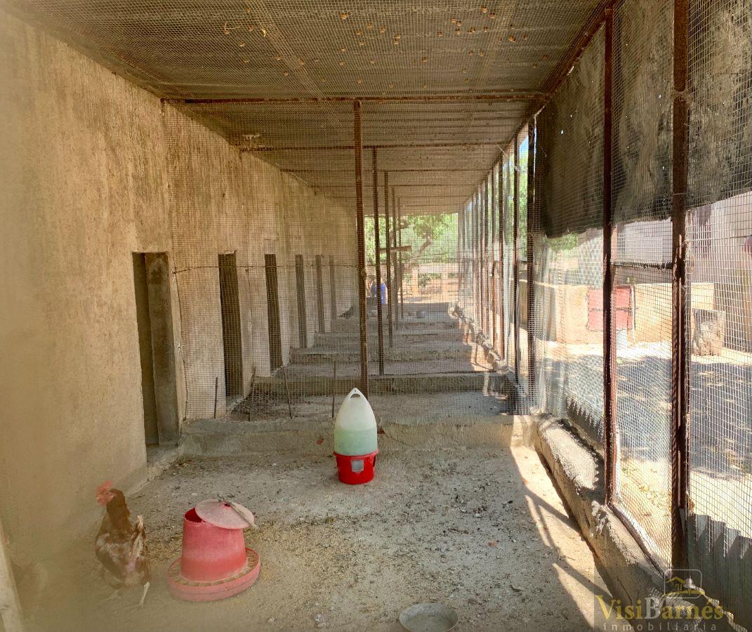Venta de chalet en Lorca