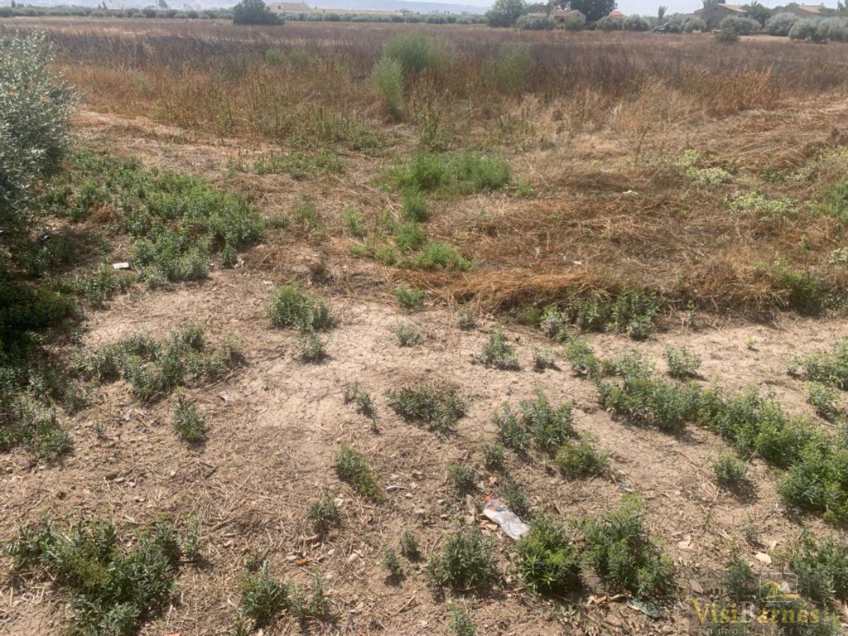 For sale of land in Lorca