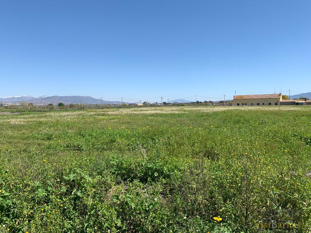 For sale of land in Lorca