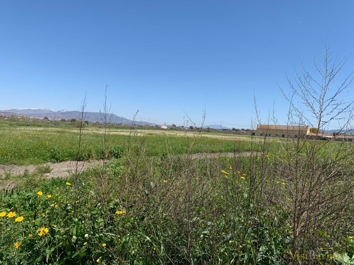 For sale of land in Lorca