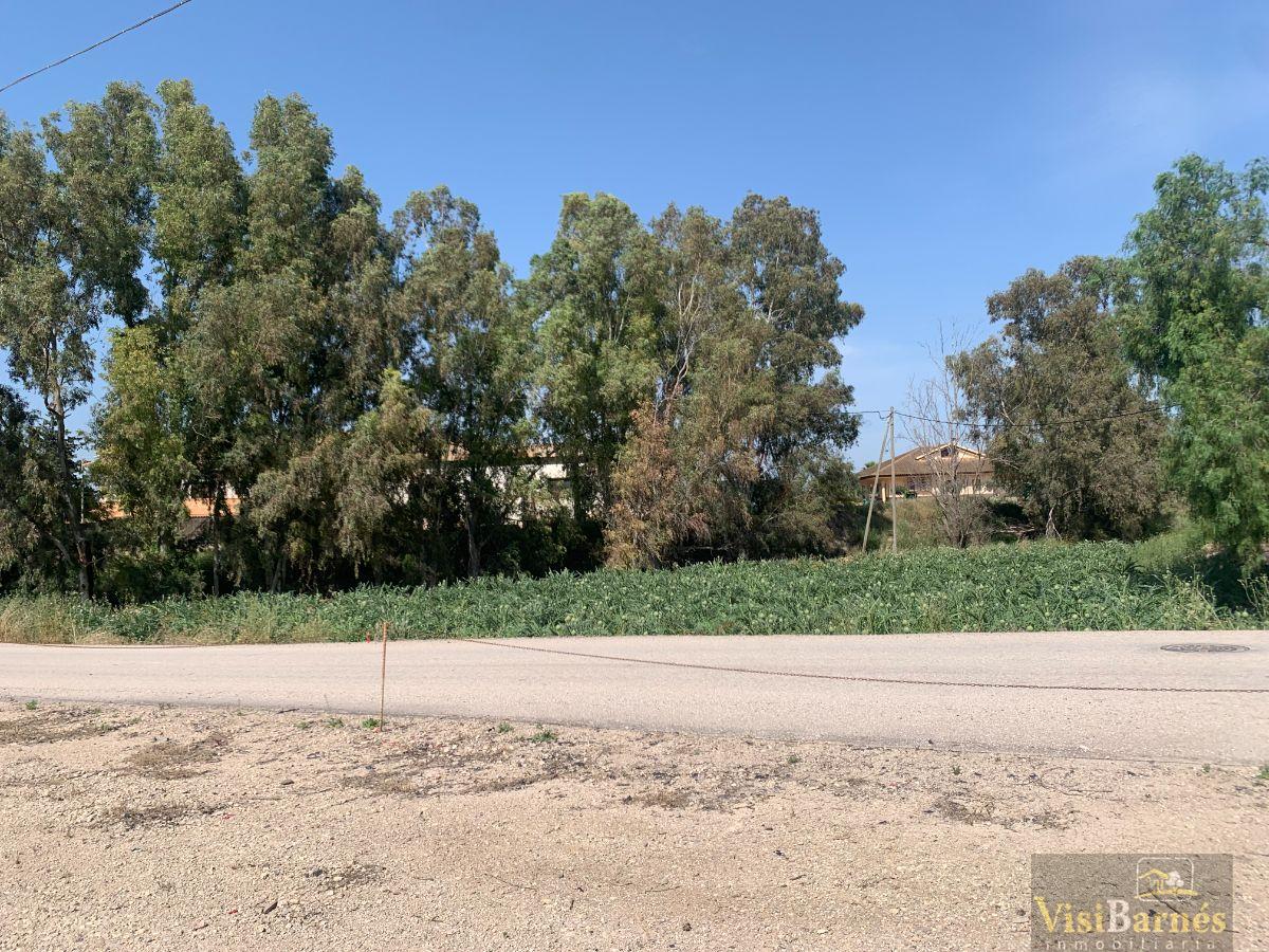 For sale of land in Lorca