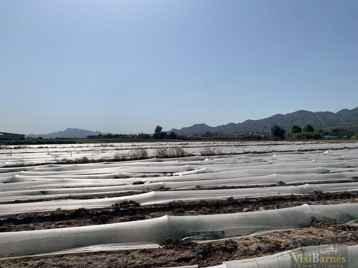 Venta de terreno en Lorca