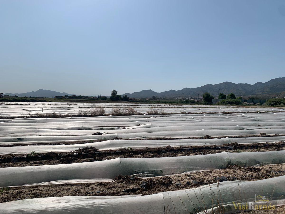 Venta de terreno en Lorca