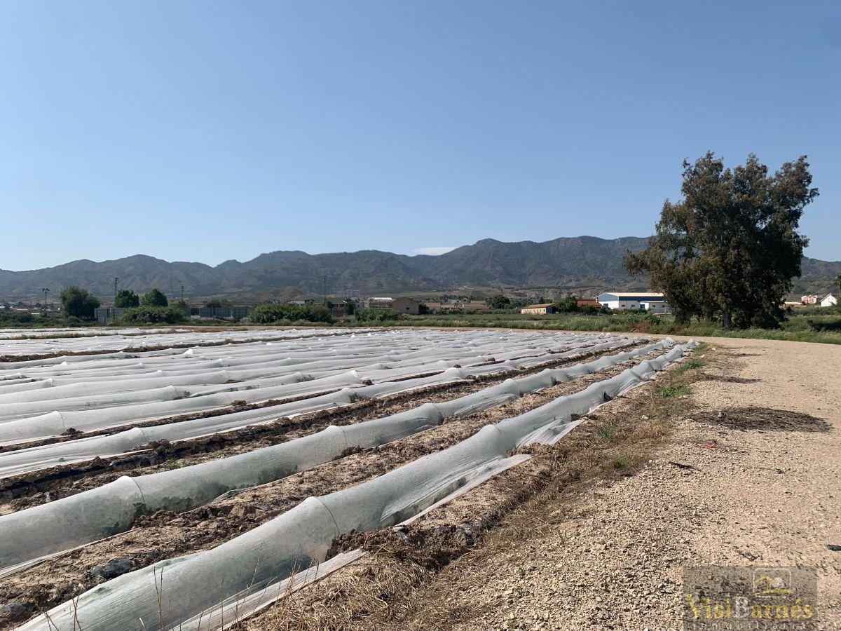 Venta de terreno en Lorca