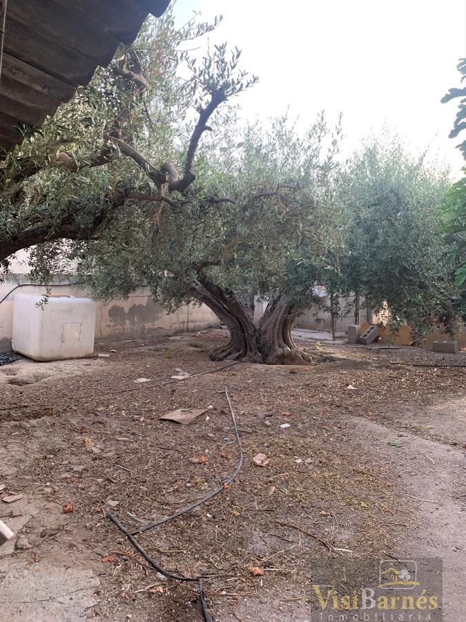 For sale of land in Lorca