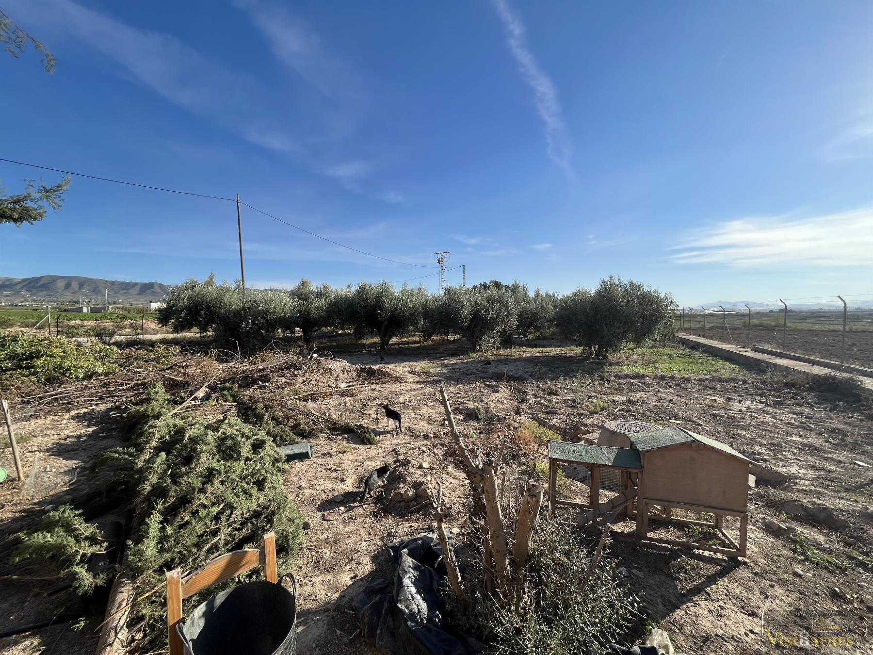 Venta de chalet en Lorca