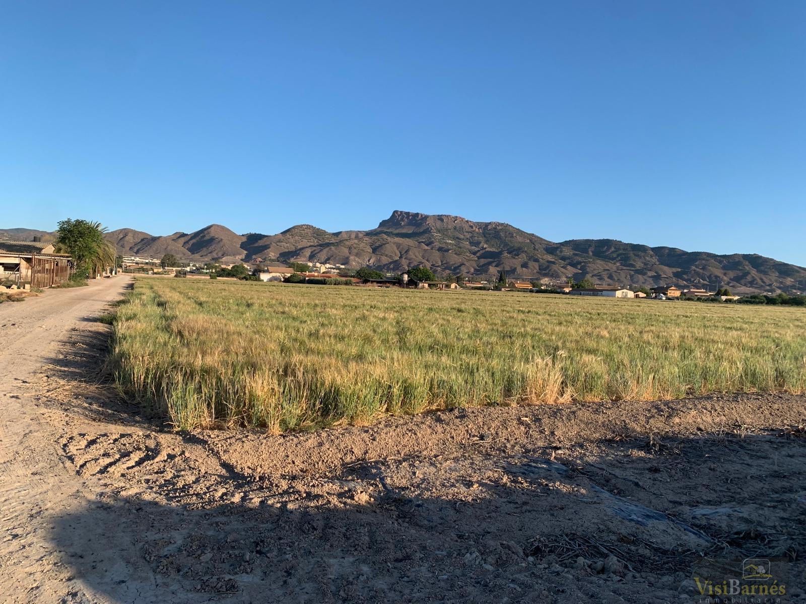 Venta de terreno en Lorca