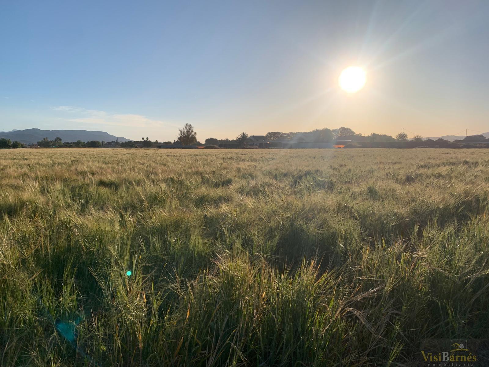 Venta de terreno en Lorca