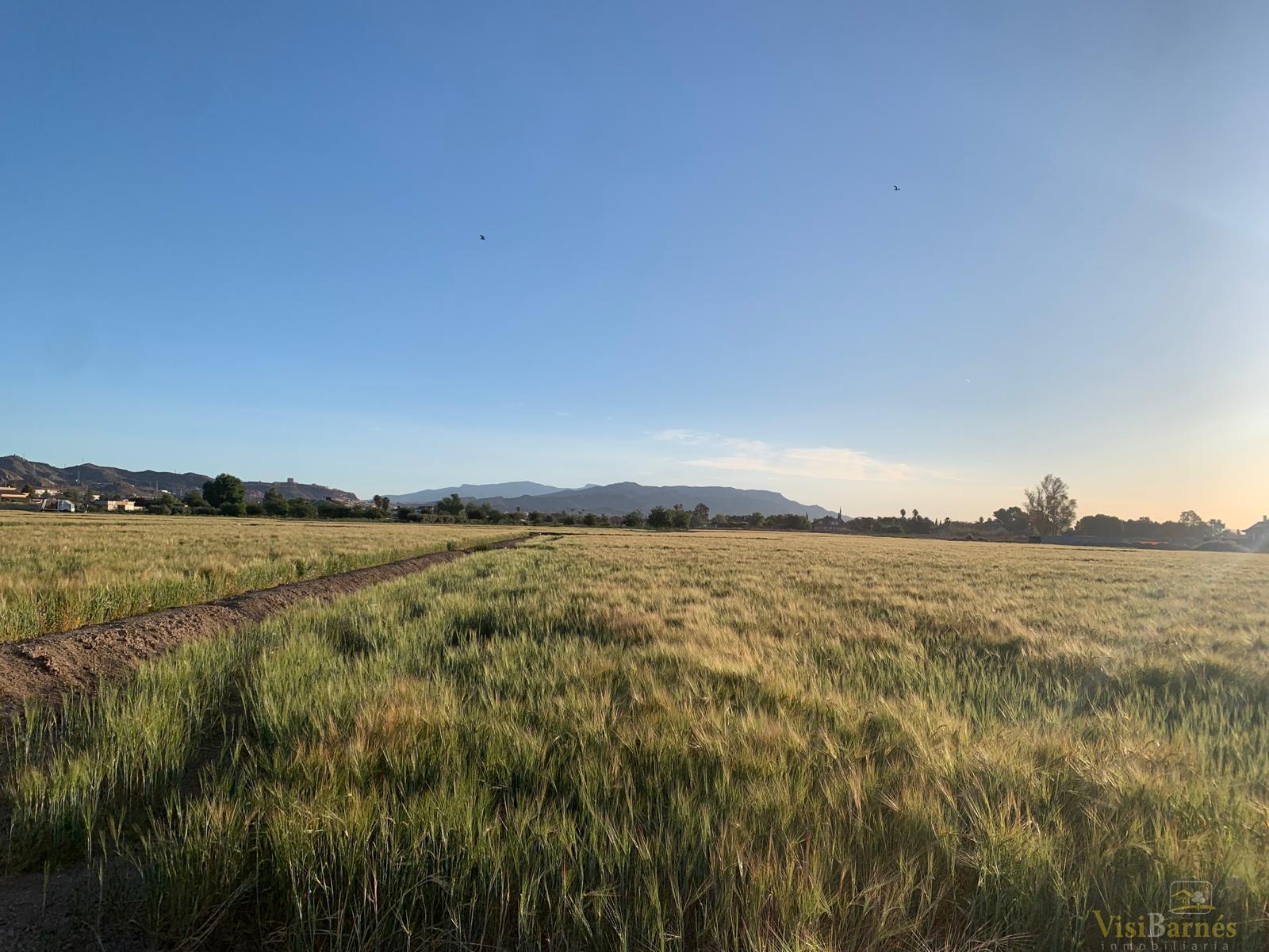 Venta de terreno en Lorca