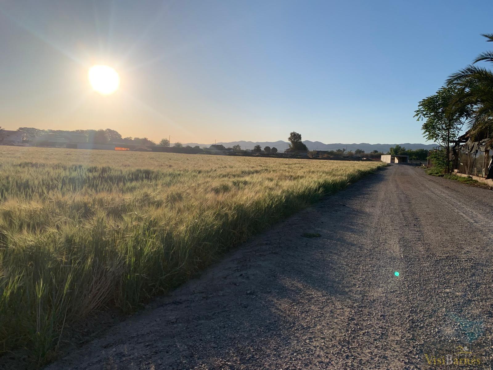 Venta de terreno en Lorca