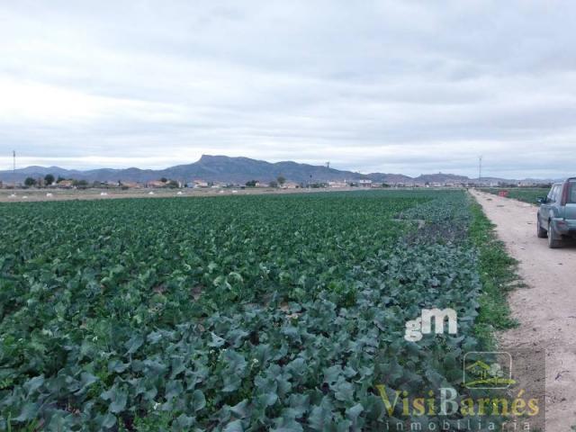 For sale of flat in Lorca