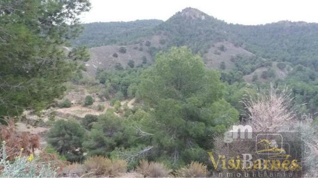 For sale of rural property in Lorca