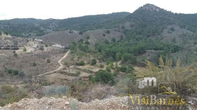 Venta de finca rústica en Lorca