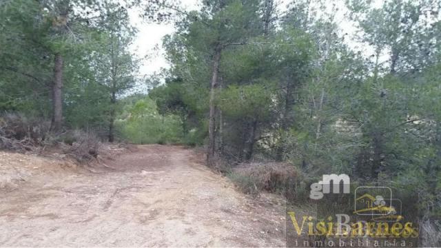 For sale of rural property in Lorca