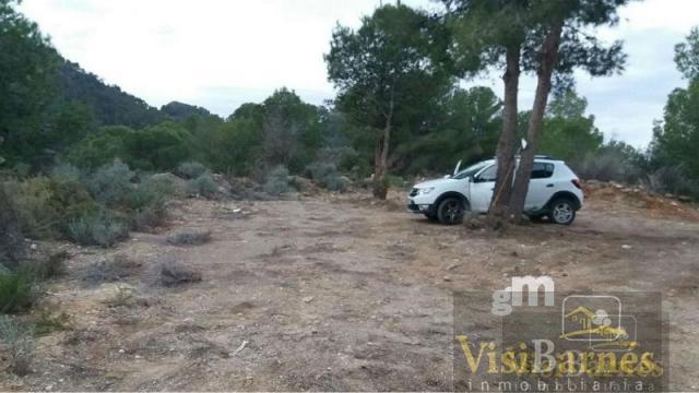 For sale of rural property in Lorca