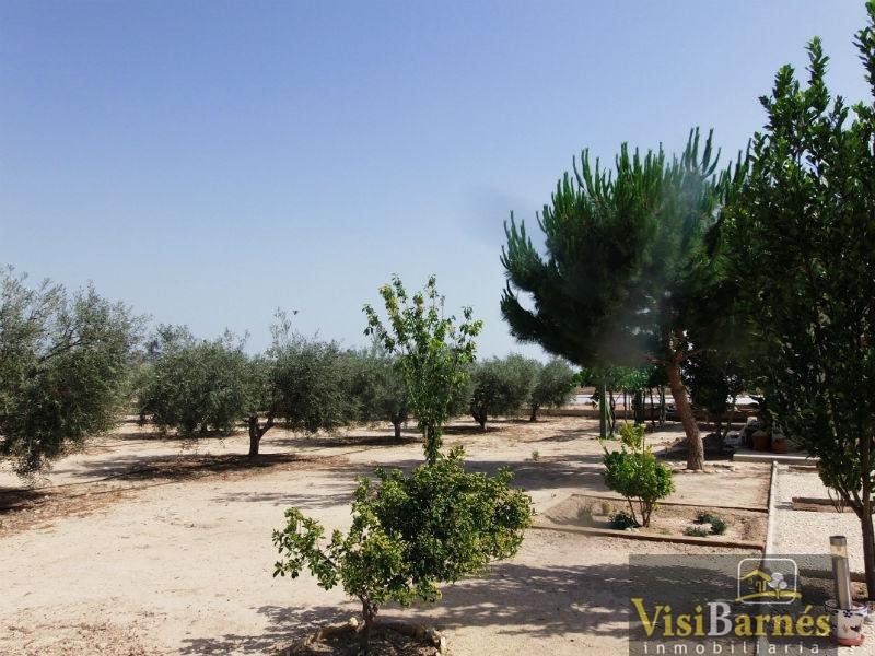 For sale of chalet in Lorca