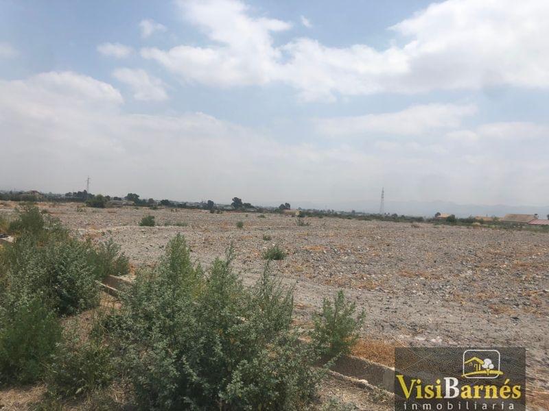 For sale of land in Lorca