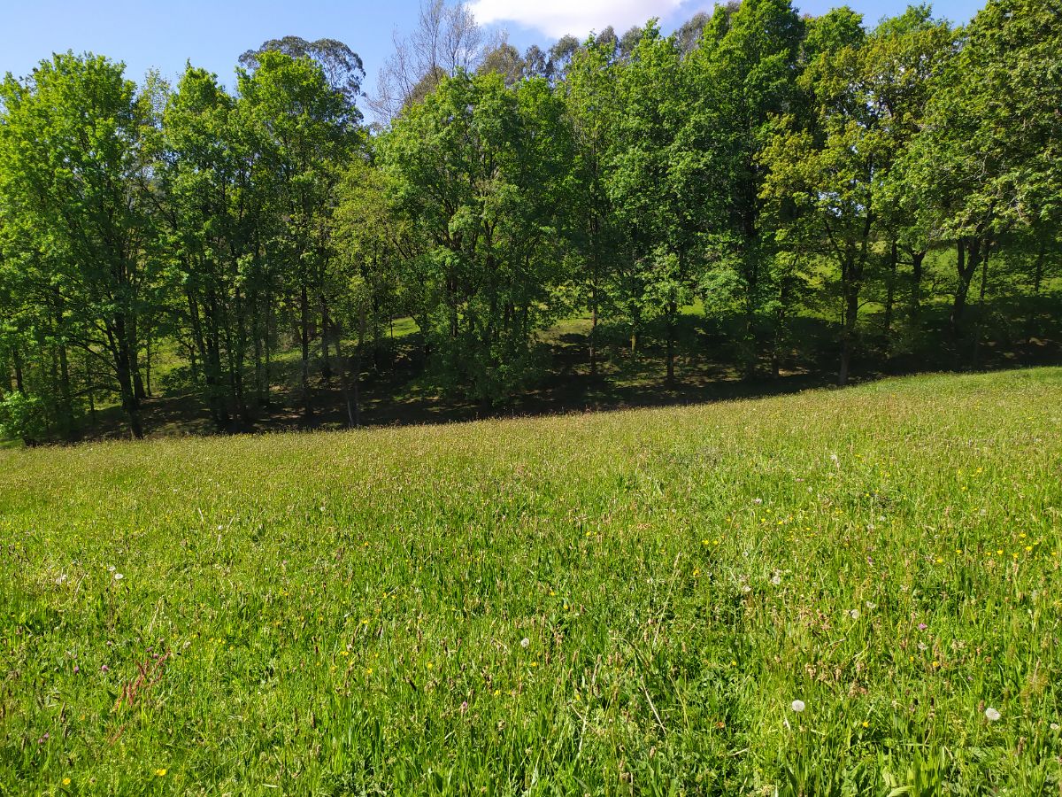 Venta de terreno en Gatika