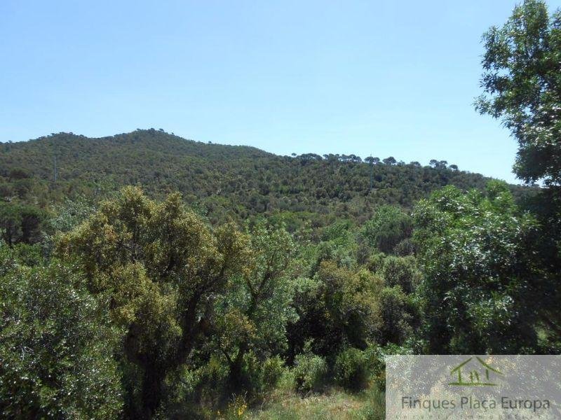 For sale of house in Santa Cristina D´aro