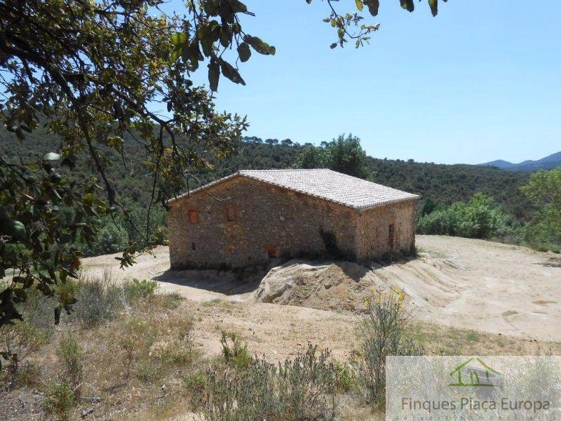 For sale of house in Santa Cristina D´aro
