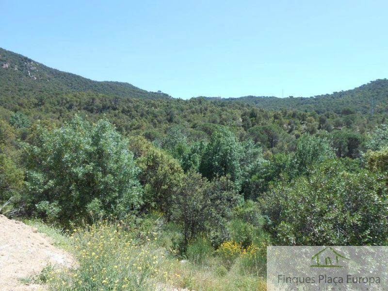 For sale of house in Santa Cristina D´aro