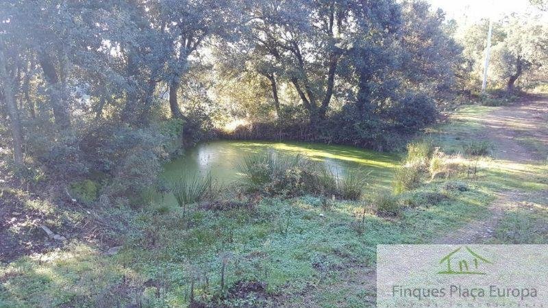 For sale of house in Girona