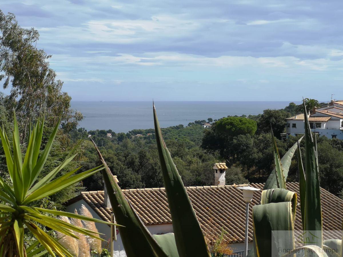 Vistas Vistas