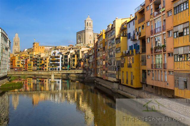 Vente de local commercial dans Girona