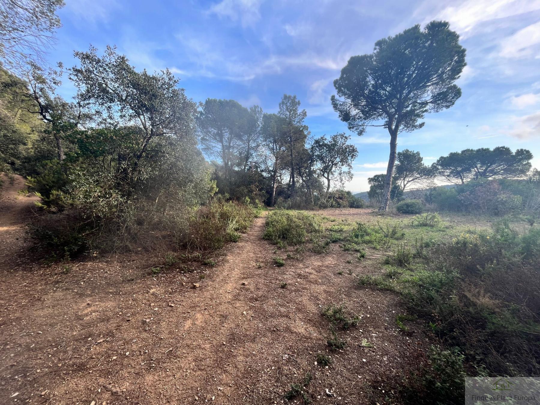For sale of land in Mont-Ras