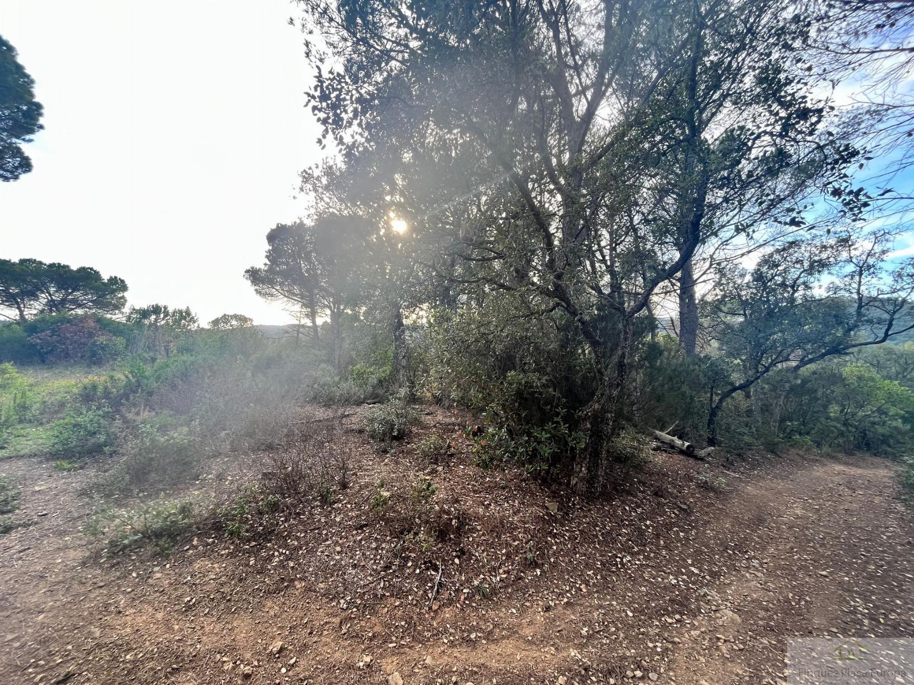For sale of land in Mont-Ras