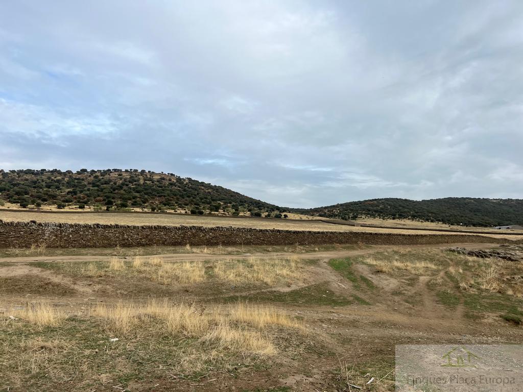 Venda de finca rústica a Madroñera
